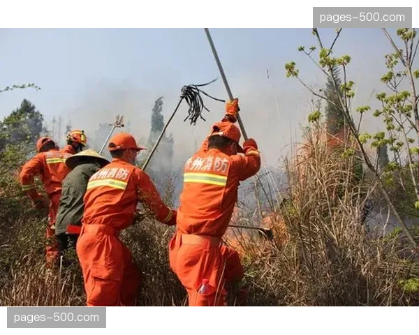 应急预案由文本转向逻辑链 突发状况处置自动下达